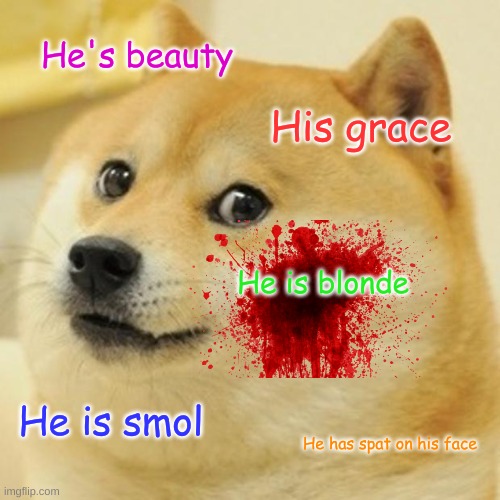 He has spat on his face | He's beauty; His grace; He is blonde; He is smol; He has spat on his face | image tagged in memes,doge | made w/ Imgflip meme maker
