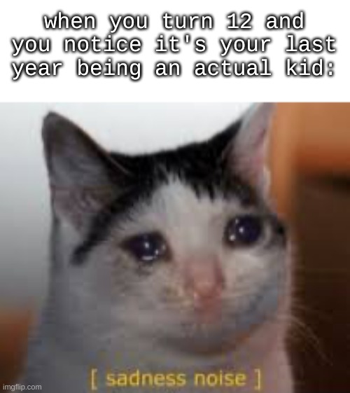 sad |  when you turn 12 and you notice it's your last year being an actual kid: | image tagged in sadness noises,sad,welcome,reality | made w/ Imgflip meme maker