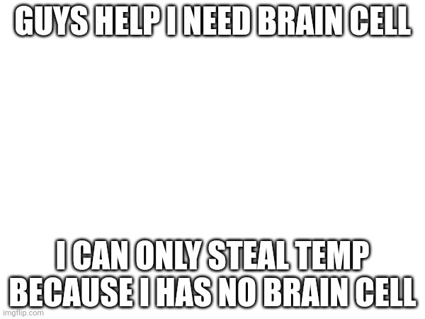 Halp | GUYS HELP I NEED BRAIN CELL; I CAN ONLY STEAL TEMP BECAUSE I HAS NO BRAIN CELL | made w/ Imgflip meme maker