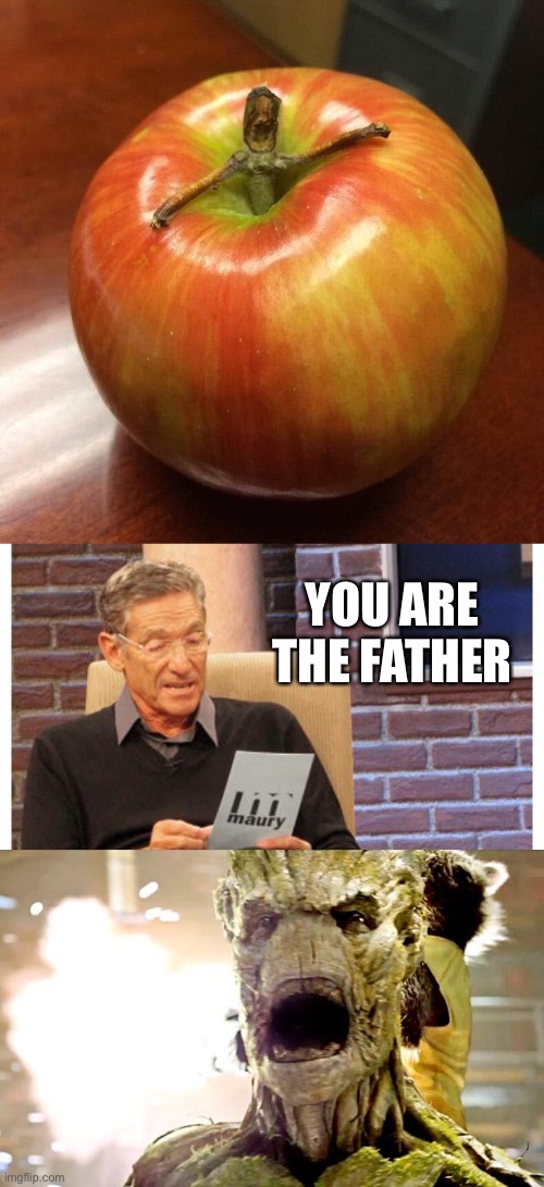 YOU ARE THE FATHER | image tagged in groot had a baby,maury povich,groot | made w/ Imgflip meme maker