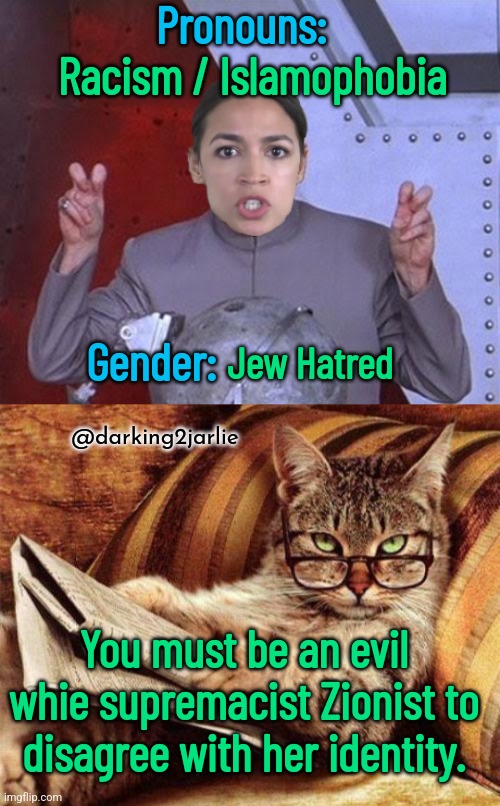 Respect her identitah! | Pronouns:; Racism / Islamophobia; Gender:; Jew Hatred; @darking2jarlie; You must be an evil whie supremacist Zionist to disagree with her identity. | image tagged in aoc,jews,antisemitism,racism,islamophobia,democrats | made w/ Imgflip meme maker