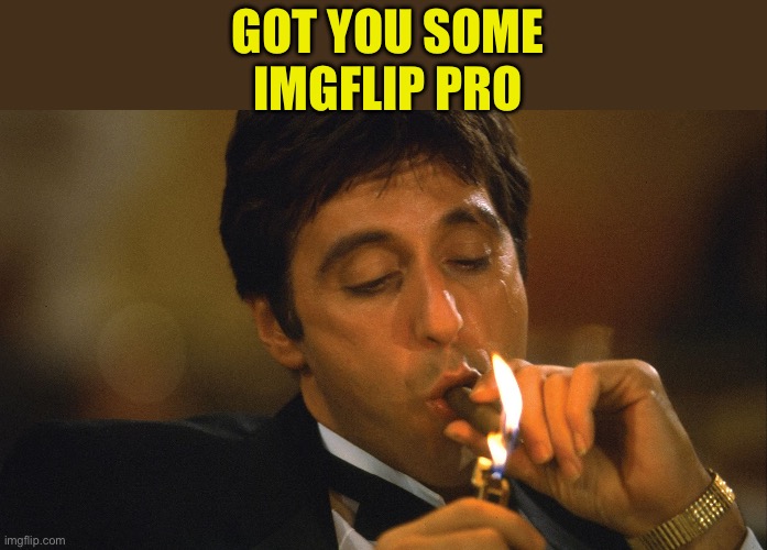 smoking cigar | GOT YOU SOME IMGFLIP PRO | image tagged in smoking cigar | made w/ Imgflip meme maker