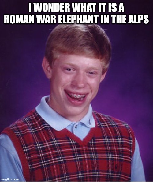 War elephants who is an Alps battle | I WONDER WHAT IT IS A ROMAN WAR ELEPHANT IN THE ALPS | image tagged in memes,bad luck brian | made w/ Imgflip meme maker