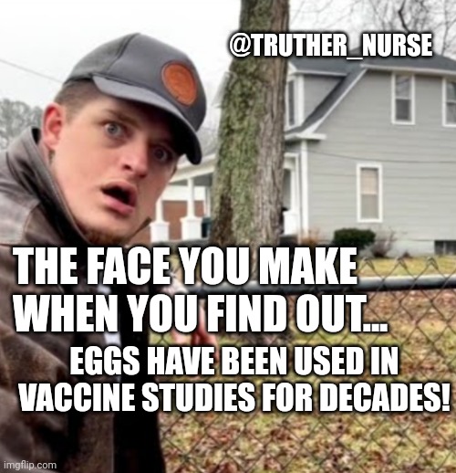 Christen Granger | @TRUTHER_NURSE; THE FACE YOU MAKE WHEN YOU FIND OUT... EGGS HAVE BEEN USED IN VACCINE STUDIES FOR DECADES! | image tagged in christen granger | made w/ Imgflip meme maker