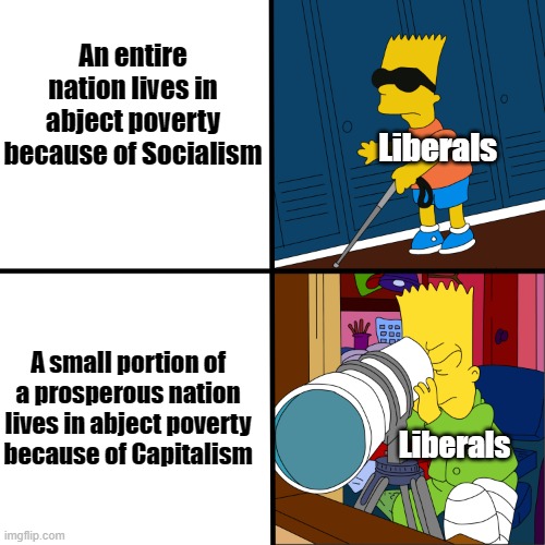 Bart Simpson Blind Template |  An entire nation lives in abject poverty because of Socialism; Liberals; A small portion of a prosperous nation lives in abject poverty because of Capitalism; Liberals | image tagged in bart simpson blind template,socialism,capitalism,liberals,hypocrisy | made w/ Imgflip meme maker