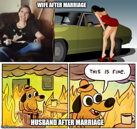 WIFE AFTER MARRIAGE; HUSBAND AFTER MARRIAGE | image tagged in cheating nancy,50 dollar anything you want,memes,this is fine | made w/ Imgflip meme maker