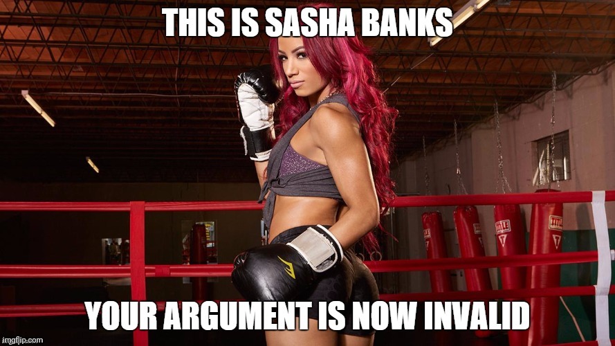 No comments needed. | image tagged in sasha banks | made w/ Imgflip meme maker