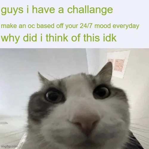 eh idk | guys i have a challange; make an oc based off your 24/7 mood everyday; why did i think of this idk | image tagged in green text cat | made w/ Imgflip meme maker