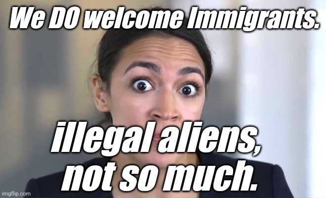 aoc Crazy Eyes, So There ! | We DO welcome Immigrants. illegal aliens, 
not so much. | image tagged in aoc crazy eyes so there | made w/ Imgflip meme maker