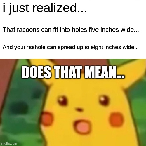 Wtf how does this make sense | i just realized... That racoons can fit into holes five inches wide.... And your *sshole can spread up to eight inches wide... DOES THAT MEAN... | image tagged in memes,surprised pikachu | made w/ Imgflip meme maker