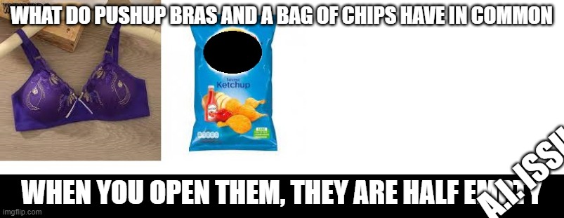 pushup bra chips | WHAT DO PUSHUP BRAS AND A BAG OF CHIPS HAVE IN COMMON; A.I. ISSU; WHEN YOU OPEN THEM, THEY ARE HALF EMPTY | image tagged in pushupbra,chips | made w/ Imgflip meme maker