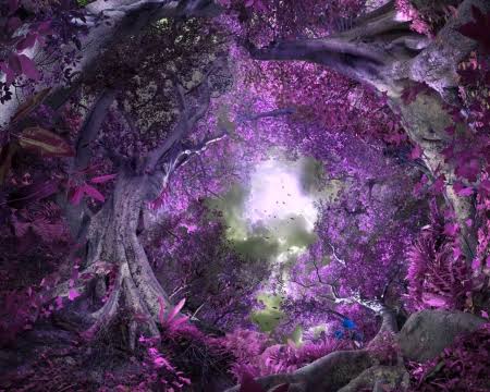 Purple Fantasy Forest Blank Meme Template