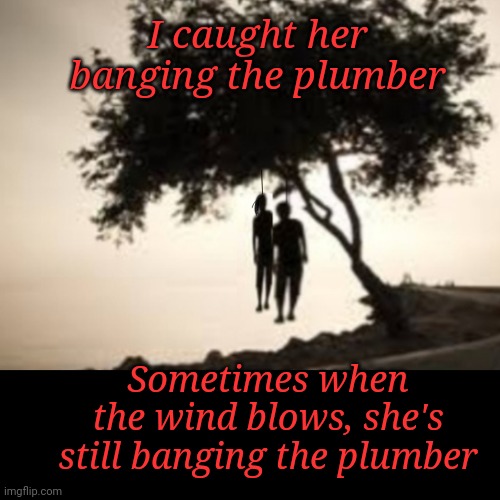 Banging Hanging | I caught her banging the plumber; Sometimes when the wind blows, she's still banging the plumber | image tagged in hanging,banging,tree,hangman,plumber | made w/ Imgflip meme maker