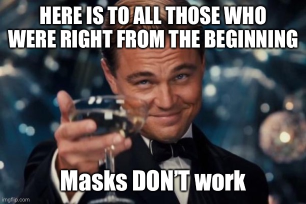Meta study confirms ineffectiveness of masks. Link in comments. | HERE IS TO ALL THOSE WHO WERE RIGHT FROM THE BEGINNING; Masks DON’T work | image tagged in leonardo dicaprio cheers,masks ineffective,covid,meta study | made w/ Imgflip meme maker