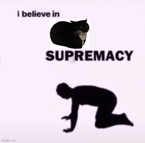 it's 3am and I can't sleep i have school tomorrow | image tagged in i believe in supremacy | made w/ Imgflip meme maker