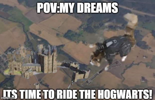 dreams be like | POV:MY DREAMS; ITS TIME TO RIDE THE HOGWARTS! | image tagged in cats,hogwarts,skydiving | made w/ Imgflip meme maker