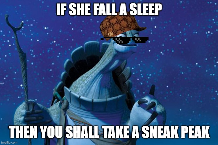 Master Oogway | IF SHE FALL A SLEEP; THEN YOU SHALL TAKE A SNEAK PEAK | image tagged in master oogway | made w/ Imgflip meme maker