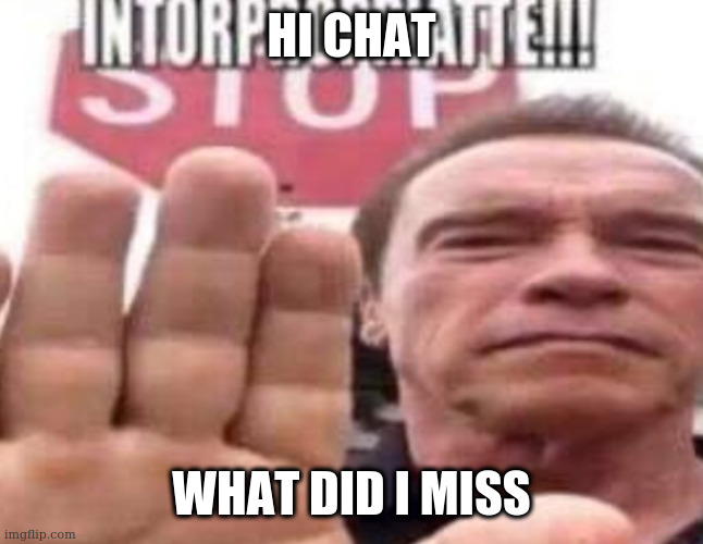 Intorpropriatte | HI CHAT; WHAT DID I MISS | image tagged in intorpropriatte | made w/ Imgflip meme maker