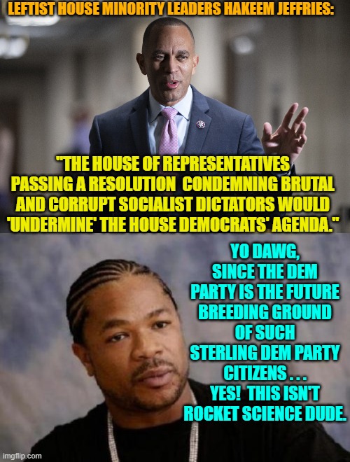 In the category of 'Well, duh!' we present to you a genius level leftist thought. | LEFTIST HOUSE MINORITY LEADERS HAKEEM JEFFRIES:; "THE HOUSE OF REPRESENTATIVES PASSING A RESOLUTION  CONDEMNING BRUTAL AND CORRUPT SOCIALIST DICTATORS WOULD 'UNDERMINE' THE HOUSE DEMOCRATS' AGENDA."; YO DAWG, SINCE THE DEM PARTY IS THE FUTURE BREEDING GROUND OF SUCH STERLING DEM PARTY CITIZENS . . . YES!  THIS ISN'T ROCKET SCIENCE DUDE. | image tagged in truth | made w/ Imgflip meme maker