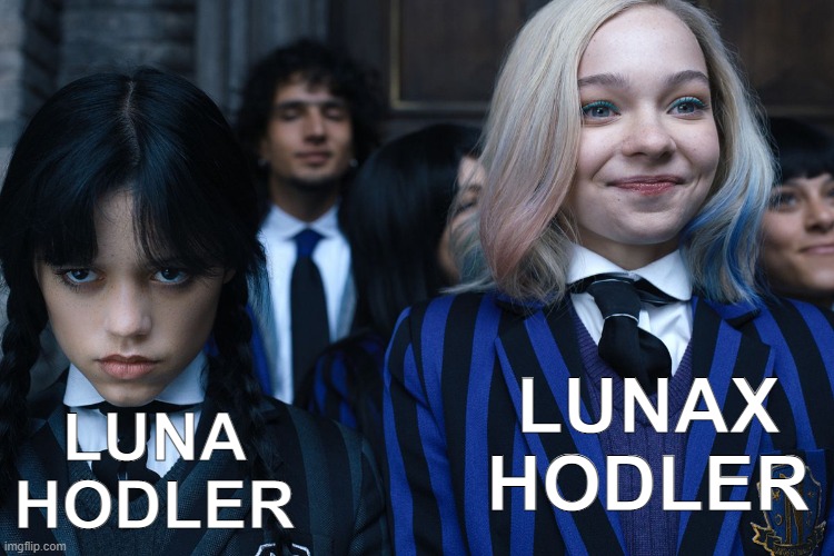 Wednesday and Enid | LUNAX HODLER; LUNA HODLER | image tagged in wednesday and enid | made w/ Imgflip meme maker