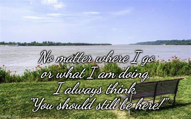 Loss of Loved One |  No matter where I go
or what I am doing,
I always think,
"You should still be here!" | image tagged in grief,loss | made w/ Imgflip meme maker