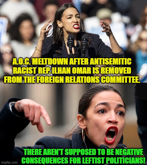 Yep . . . pretty much what it amounts to. | A.O.C. MELTDOWN AFTER ANTISEMITIC RACIST REP. ILHAN OMAR IS REMOVED FROM THE FOREIGN RELATIONS COMMITTEE. THERE AREN'T SUPPOSED TO BE NEGATIVE CONSEQUENCES FOR LEFTIST POLITICIANS! | image tagged in reality | made w/ Imgflip meme maker