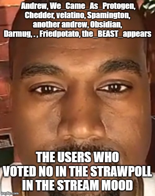 Napalm time | Andrew, We_Came_As_Protogen, Chedder, velatino, Spamington, another andrew, Obsidian, Darmug, . , Friedpotato, the_BEAST_appears; THE USERS WHO VOTED NO IN THE STRAWPOLL IN THE STREAM MOOD | image tagged in kanye west stare | made w/ Imgflip meme maker