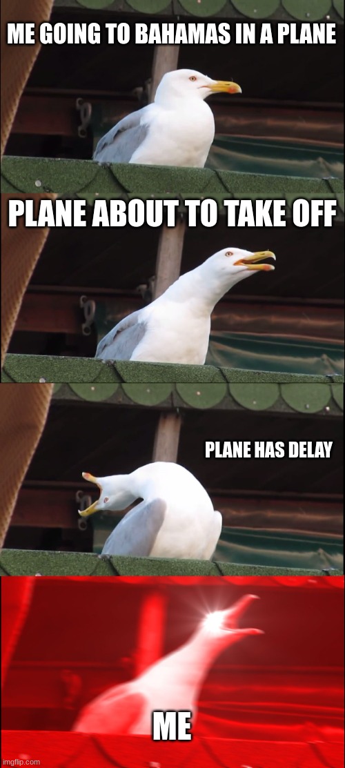 when you go to the bahamas | ME GOING TO BAHAMAS IN A PLANE; PLANE ABOUT TO TAKE OFF; PLANE HAS DELAY; ME | image tagged in memes,inhaling seagull | made w/ Imgflip meme maker