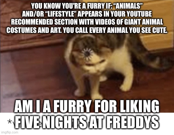 Wait what *the wait what mene theme plays* | YOU KNOW YOU'RE A FURRY IF: “ANIMALS” AND/OR “LIFESTYLE” APPEARS IN YOUR YOUTUBE RECOMMENDED SECTION WITH VIDEOS OF GIANT ANIMAL COSTUMES AND ART. YOU CALL EVERY ANIMAL YOU SEE CUTE. AM I A FURRY FOR LIKING FIVE NIGHTS AT FREDDYS | image tagged in visible confusion | made w/ Imgflip meme maker