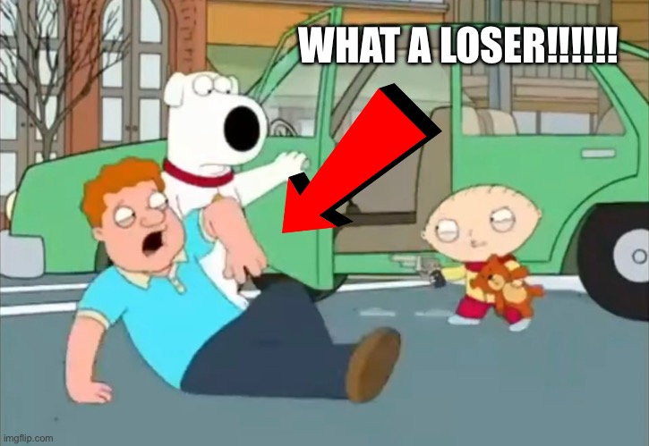 LOSER!!! | WHAT A LOSER!!!!!! | image tagged in family guy,stewie griffin,brian griffin,carjacking,loser | made w/ Imgflip meme maker