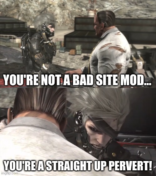 Raiden and Armstrong Handshake + Follow Up | YOU'RE NOT A BAD SITE MOD... YOU'RE A STRAIGHT UP PERVERT! | image tagged in raiden and armstrong handshake follow up | made w/ Imgflip meme maker