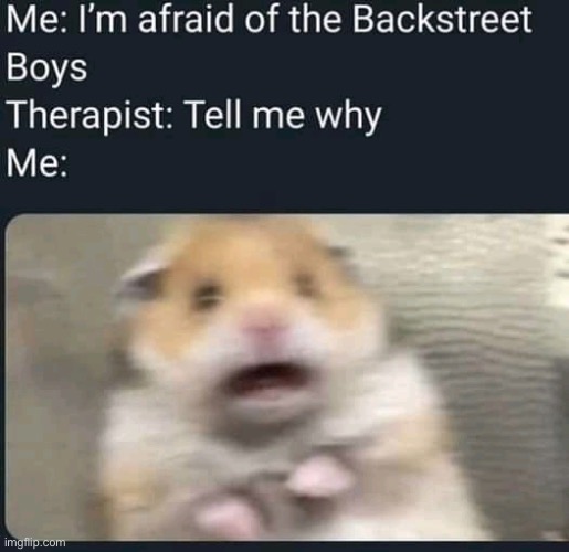 image tagged in repost,therapist,backstreet boys,memes,funny,scared hamster | made w/ Imgflip meme maker