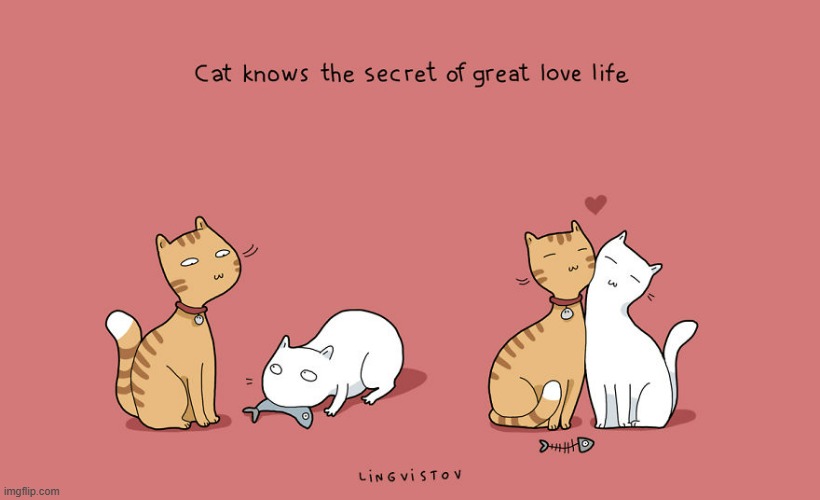 A Cat's Way Of Thinking | image tagged in memes,comics,cats,know,secret,love | made w/ Imgflip meme maker