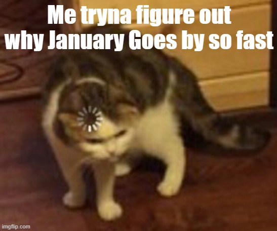 Ok but howww | Me tryna figure out why January Goes by so fast | image tagged in loading cat | made w/ Imgflip meme maker
