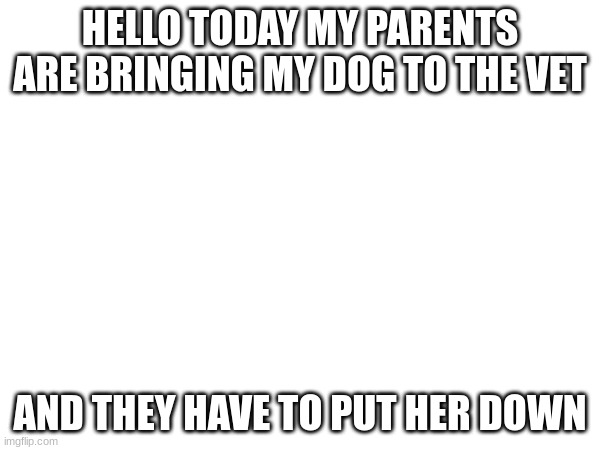 sadness | HELLO TODAY MY PARENTS ARE BRINGING MY DOG TO THE VET; AND THEY HAVE TO PUT HER DOWN | image tagged in sad | made w/ Imgflip meme maker