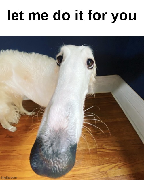borzoi | let me do it for you | image tagged in borzoi,let me do it for you | made w/ Imgflip meme maker