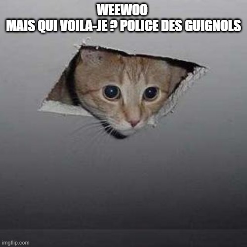Ceiling Cat Meme | WEEWOO 
MAIS QUI VOILA-JE ? POLICE DES GUIGNOLS | image tagged in memes,ceiling cat | made w/ Imgflip meme maker