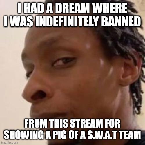 kinda sounded fumking stupid | I HAD A DREAM WHERE I WAS INDEFINITELY BANNED; FROM THIS STREAM FOR SHOWING A PIC OF A S.W.A.T TEAM | image tagged in fr | made w/ Imgflip meme maker