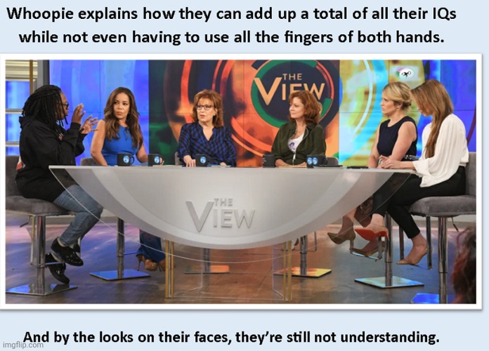 The View | image tagged in the view,bigots,racists | made w/ Imgflip meme maker