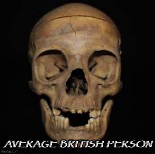 British |  AVERAGE BRITISH PERSON | image tagged in memes | made w/ Imgflip meme maker