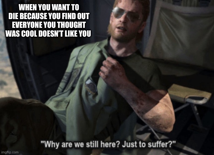 Why are we still here? Just to suffer? | WHEN YOU WANT TO DIE BECAUSE YOU FIND OUT EVERYONE YOU THOUGHT WAS COOL DOESN’T LIKE YOU | image tagged in why are we still here just to suffer | made w/ Imgflip meme maker