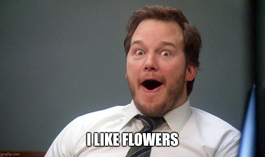 Oooohhhh | I LIKE FLOWERS | image tagged in oooohhhh | made w/ Imgflip meme maker