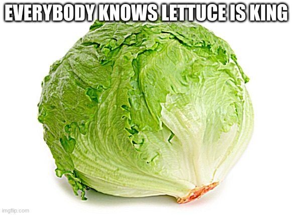 Lettuce  | EVERYBODY KNOWS LETTUCE IS KING | image tagged in lettuce | made w/ Imgflip meme maker