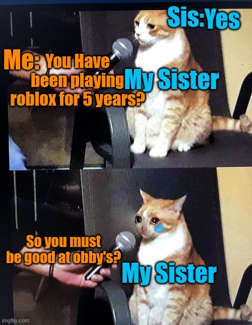 My sister was never good at obby's | Sis:; Yes; My Sister; Me:; You Have been playing roblox for 5 years? So you must be good at obby's? My Sister | image tagged in cat interview crying | made w/ Imgflip meme maker