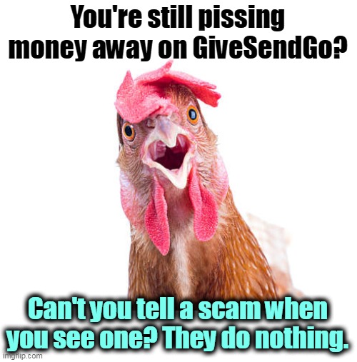 Scam scam scam | You're still pissing money away on GiveSendGo? Can't you tell a scam when you see one? They do nothing. | image tagged in givesendgo,scam,crowd | made w/ Imgflip meme maker