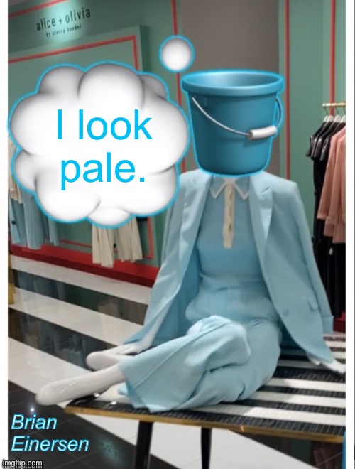 Pale Blue Pail | I look pale. Brian Einersen | image tagged in fashion,alice and olivia,bloomingdales,pale blue,emooji art,brian einersen | made w/ Imgflip meme maker