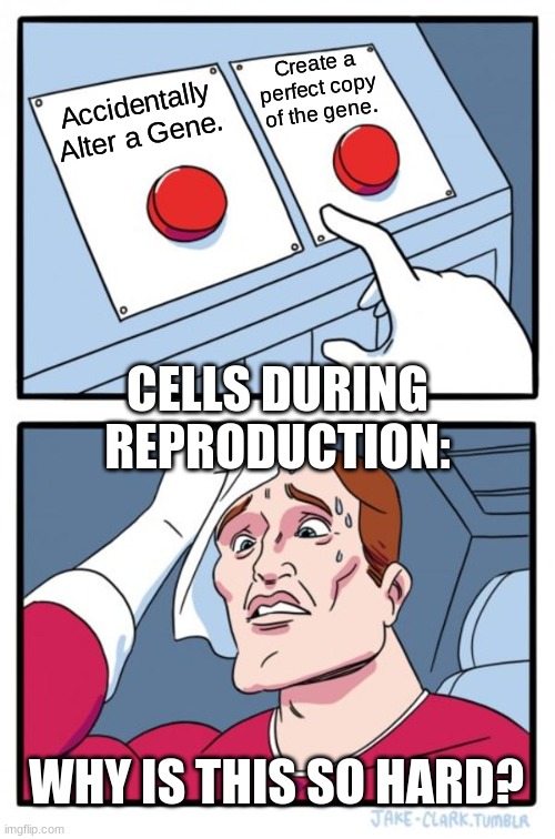 Two Buttons | Create a perfect copy of the gene. Accidentally Alter a Gene. CELLS DURING REPRODUCTION:; WHY IS THIS SO HARD? | image tagged in memes,two buttons | made w/ Imgflip meme maker