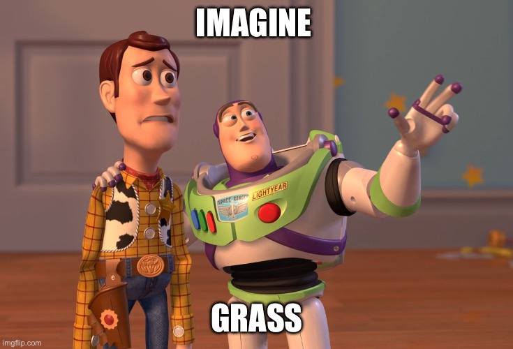 X, X Everywhere Meme | IMAGINE GRASS | image tagged in memes,x x everywhere | made w/ Imgflip meme maker