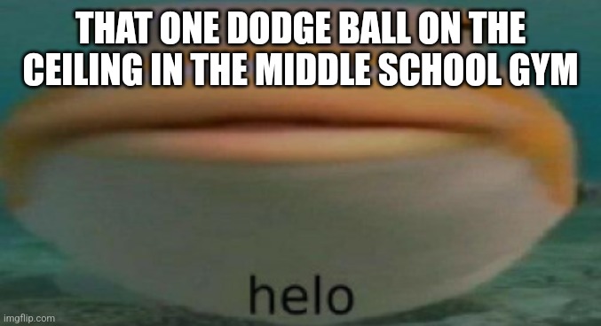 helo | THAT ONE DODGE BALL ON THE CEILING IN THE MIDDLE SCHOOL GYM | image tagged in fr true | made w/ Imgflip meme maker
