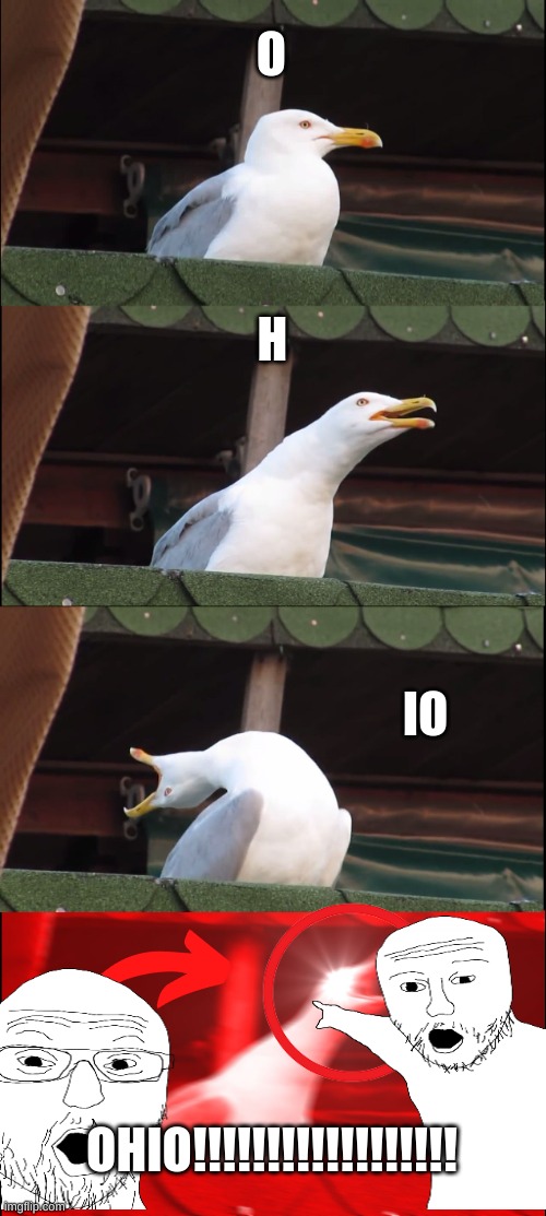 oooooooooooooooooooooooooohhhhhhhhhhhhhhhhhhhhhhhio | O; H; IO; OHIO!!!!!!!!!!!!!!!!!! | image tagged in memes,inhaling seagull | made w/ Imgflip meme maker